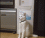 ڼҵʱ˶ڸЩʲô